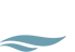 SSI logo