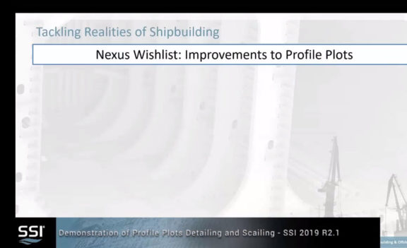 SSI 2019 R2.1 Scaling and Detailing of Profile Plots Walk-through Demonstration