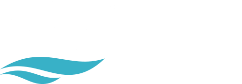 SSI India