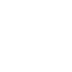 SSIWSC 2024 logo