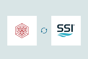Shipbuilding Software, Services, and Expertise